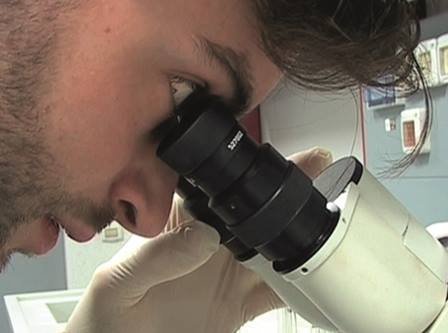 TECNICHE DI LABORATORIO BIOMEDICO